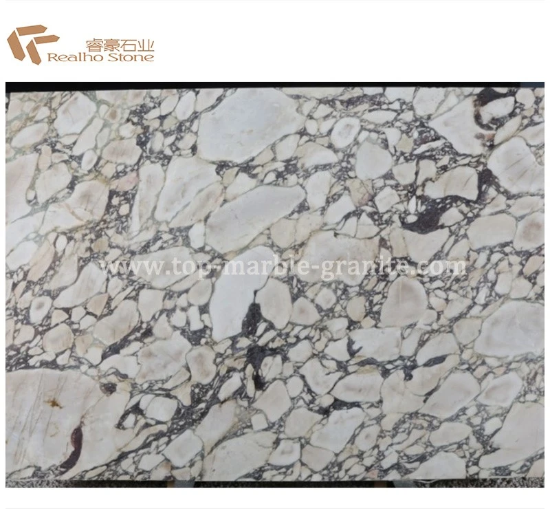 calacatta viola marble calacatta viola marble
